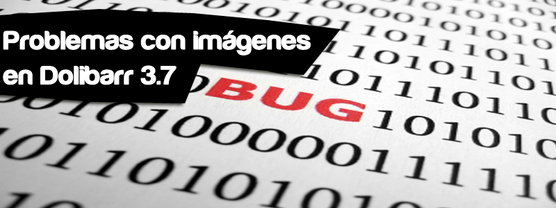 bug 3.7 imagenes